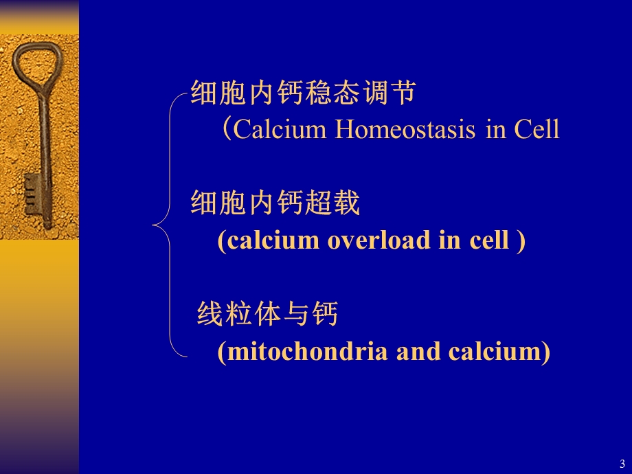 线粒体钙超载_免费下载.ppt_第3页