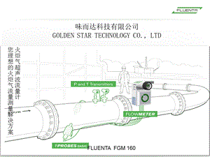 fluenta 火炬气测量.ppt