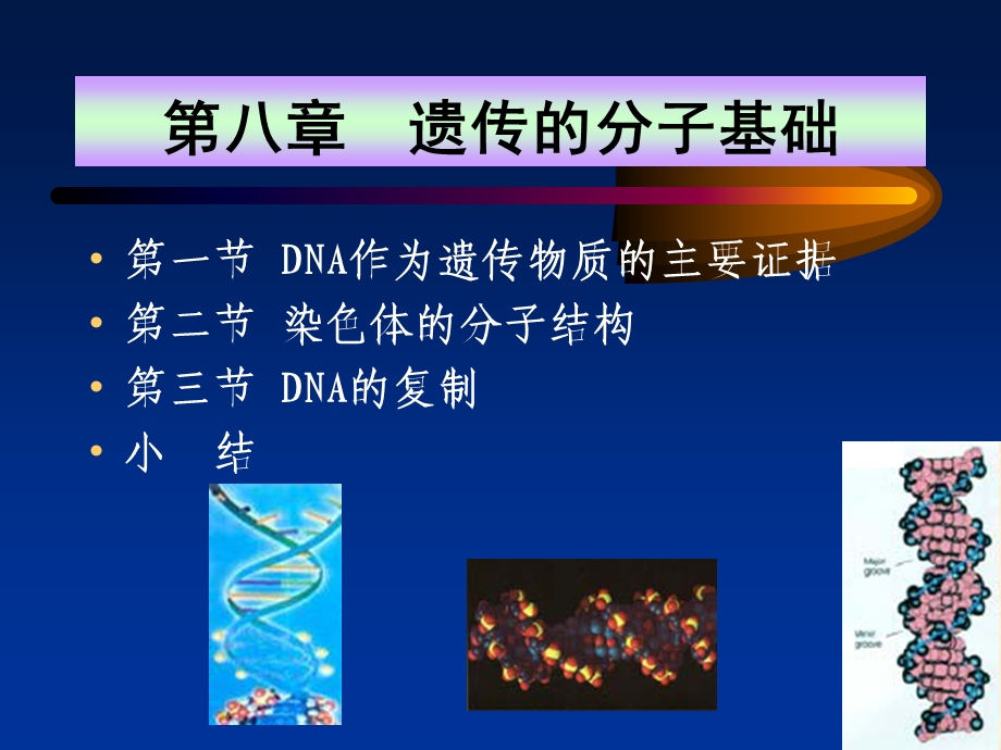 《遗传学》08.遗传的分子基础(26P)(1).ppt_第1页