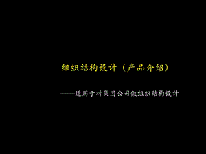 组织结构设计（产品介绍）-适合集团公司(2).ppt