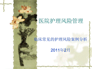 医院护理风险案例分析2011年2月(1).ppt