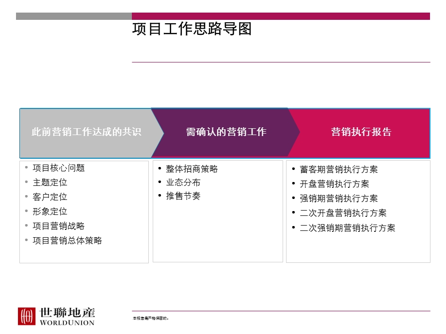 2009年巢湖信泰人民路商业步行街年度营销执行报告(1).ppt_第3页