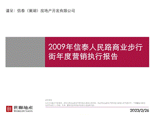 2009年巢湖信泰人民路商业步行街年度营销执行报告(1).ppt