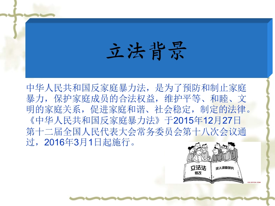 反家庭暴力法法律知识讲座.ppt_第2页