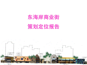 深圳东海岸商业街定位策划报告.ppt