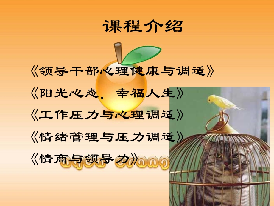 阳光心态幸福人生.ppt_第3页