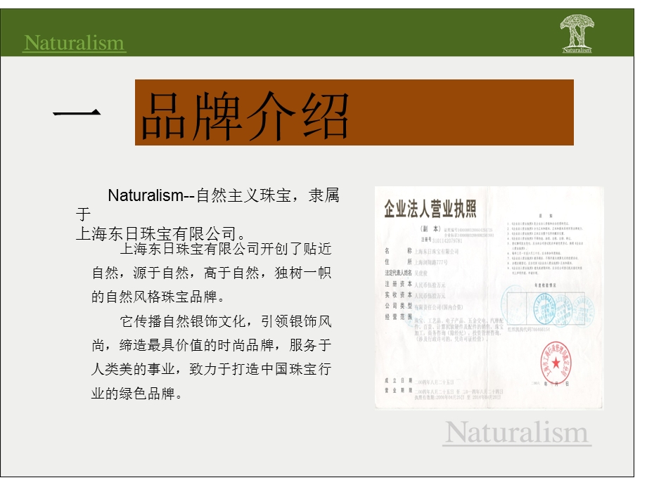 复古银饰naturalism品牌介绍.ppt_第3页