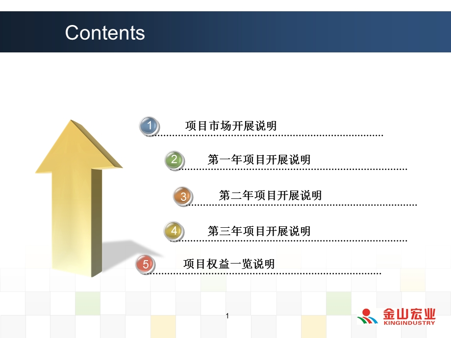 0区县市场项目开展方案.ppt_第2页