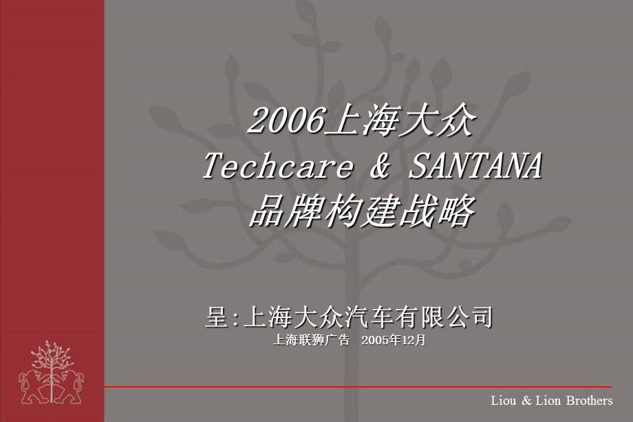 上海大众chca&sanana b2品牌构建(1).ppt_第1页