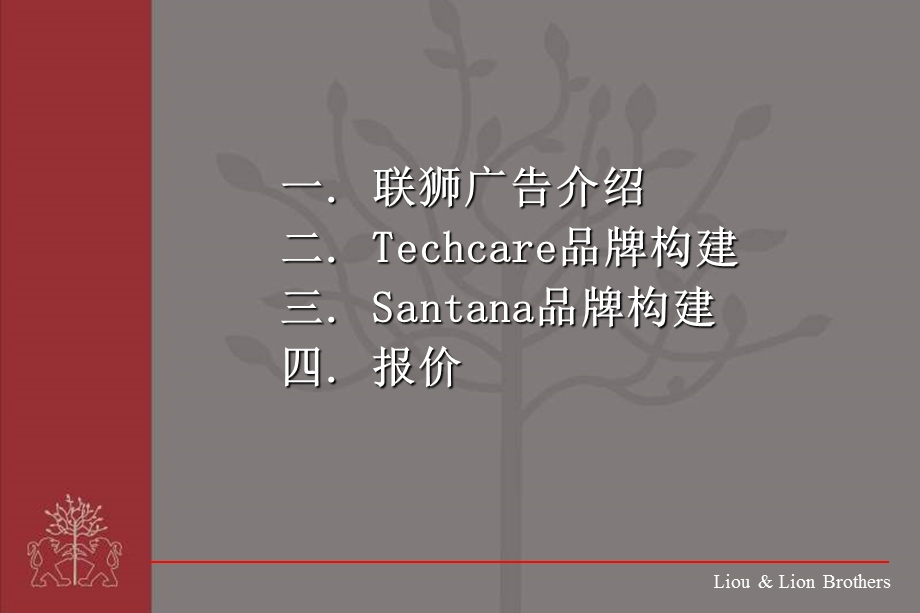 上海大众chca&sanana b2品牌构建(1).ppt_第2页