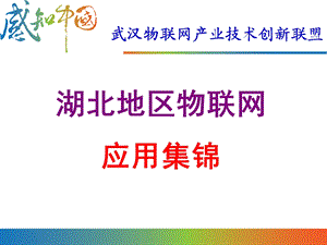 湖北地区物联网应用集锦（上） .ppt