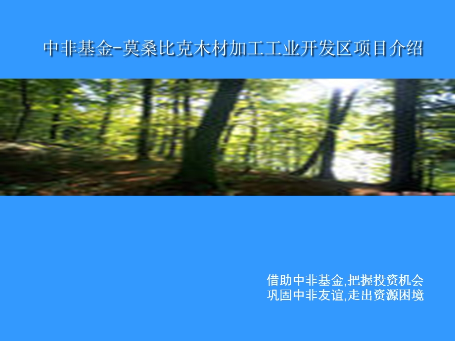 中非基金-莫桑比克木材加工项目介绍(1).ppt_第1页