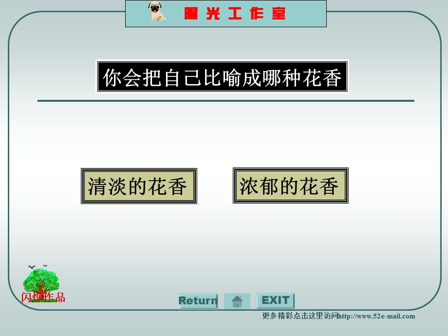 形象测试.ppt_第2页