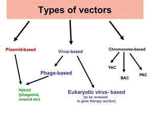 基因工程的载体(四).ppt