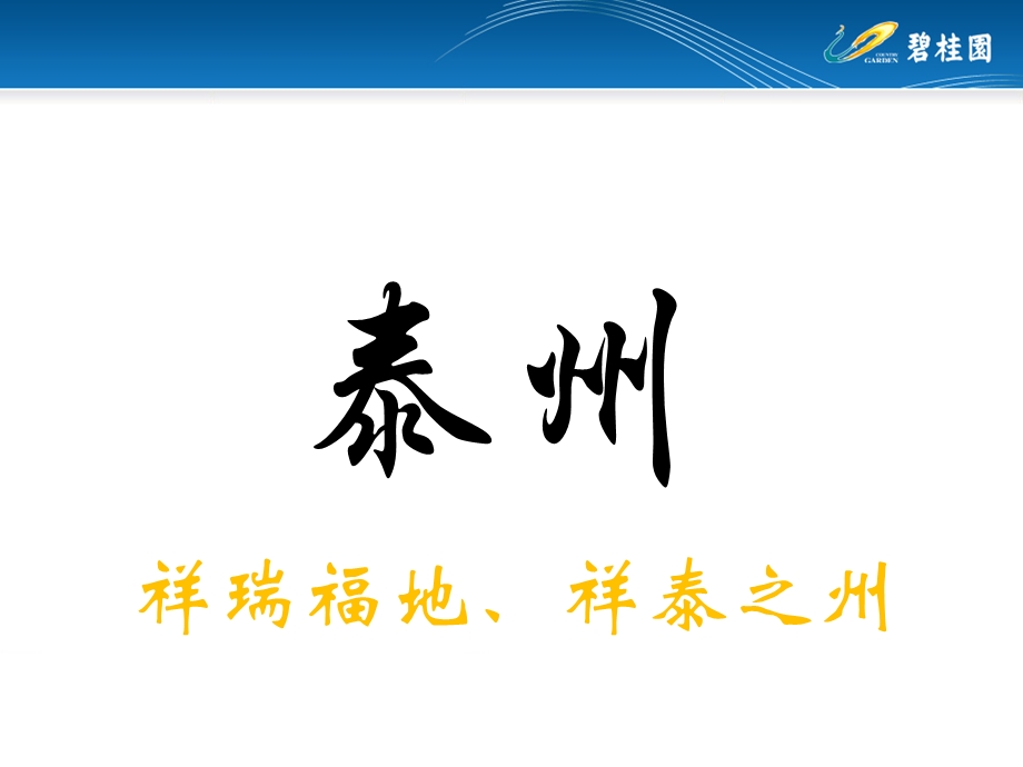 2013年江苏泰州碧桂园凤凰商业广场之“奥特莱斯”概念街区.ppt_第2页