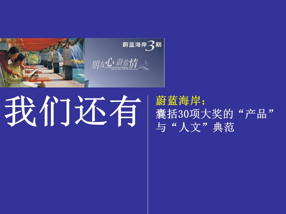 卓越蔚蓝海岸长沙项目营销传播策略181P(1).ppt_第3页