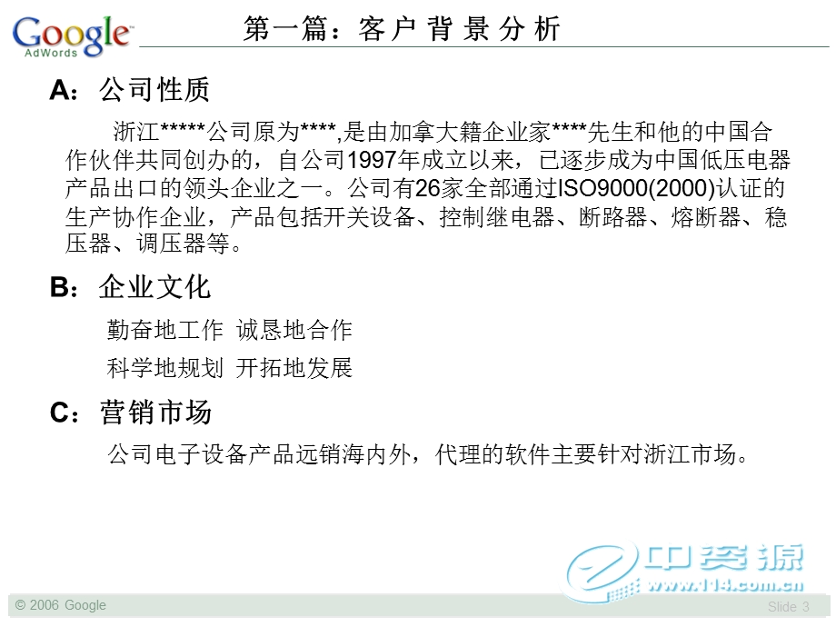Google AdWordsTM全球推广策划书实例.ppt_第3页