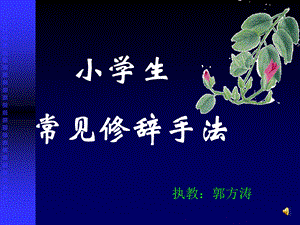 小学生常见修辞手法学习.ppt.ppt