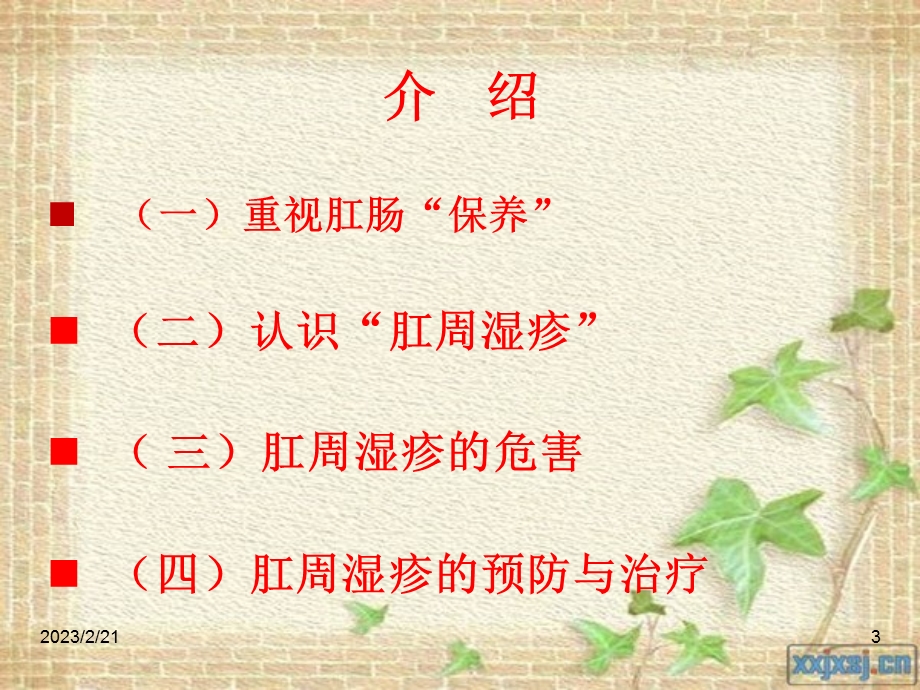 肛周湿疹-------健康讲座 修改.ppt_第3页