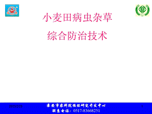 2012小麦田病虫杂草防治技术.ppt