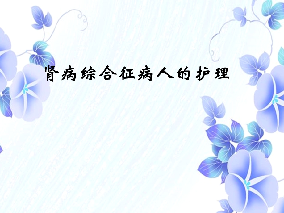 第四节肾病综合征病人的护理.ppt_第1页