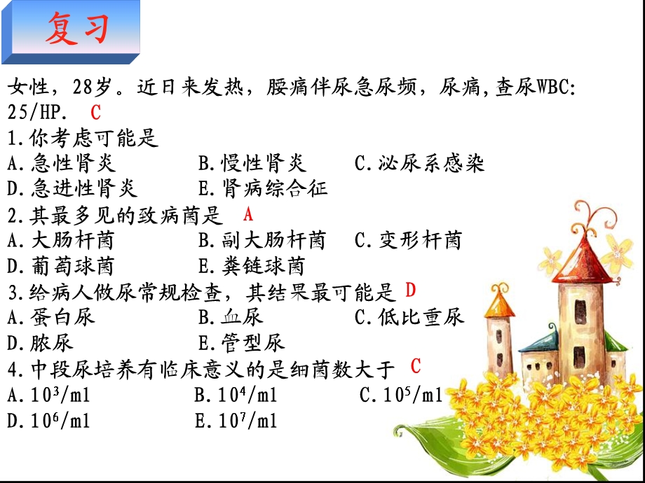 3慢性肾小球肾炎整理.ppt_第2页