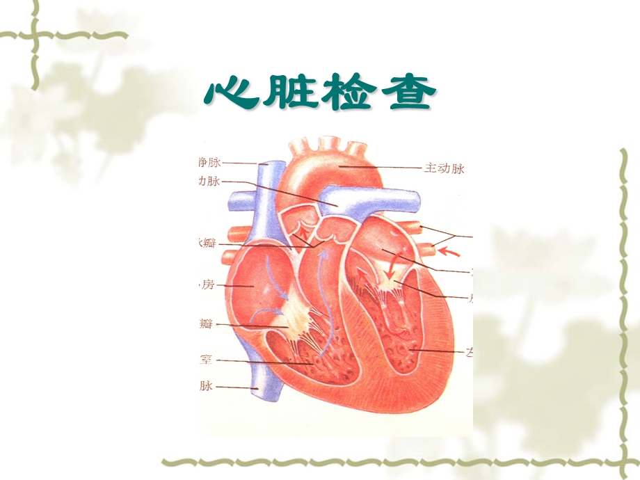 心脏血管检查.ppt_第1页