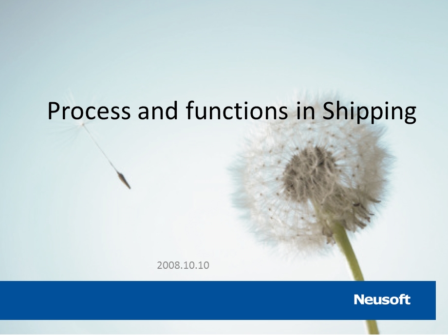 Process and functions in Shipping(1).ppt_第1页