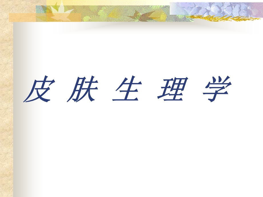 皮肤生理学ppt(1).ppt_第1页