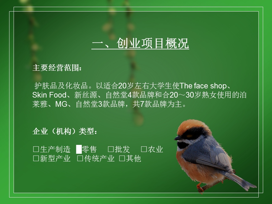 美妆小铺创业计划书.ppt_第3页