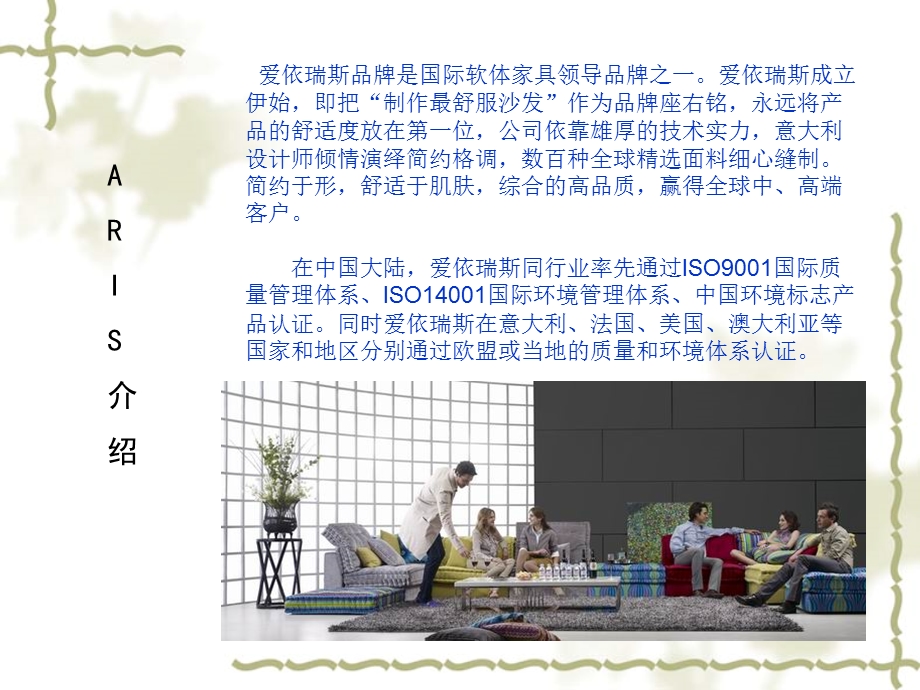 爱依瑞斯品牌调查报告.ppt_第2页