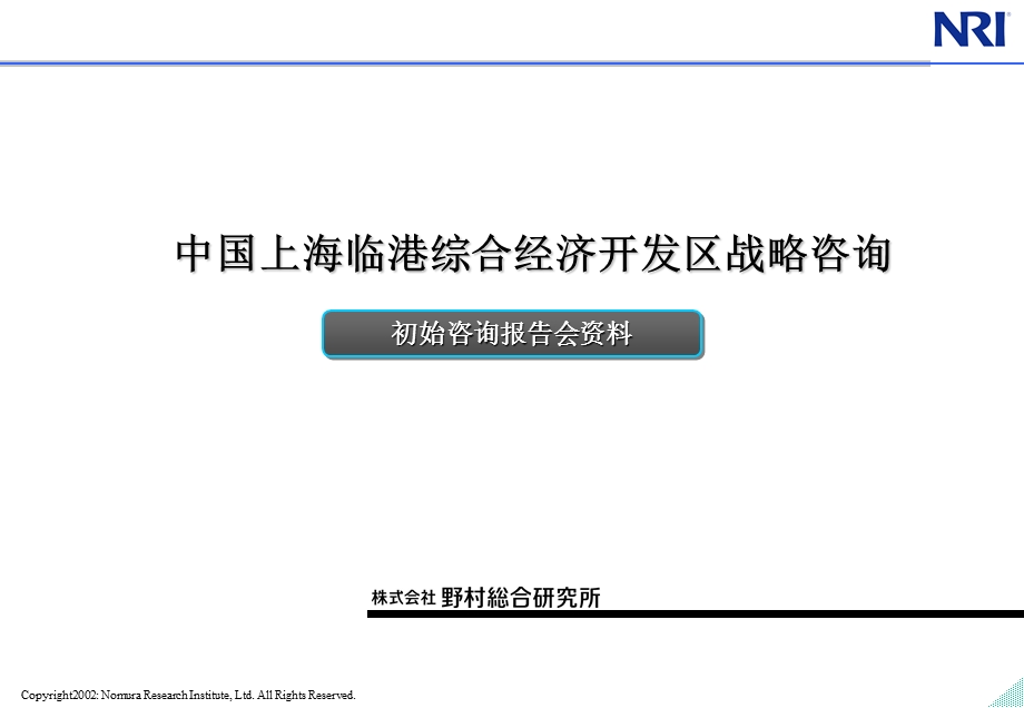 中国上海临港综合经济开发区战略咨询(1).ppt_第1页