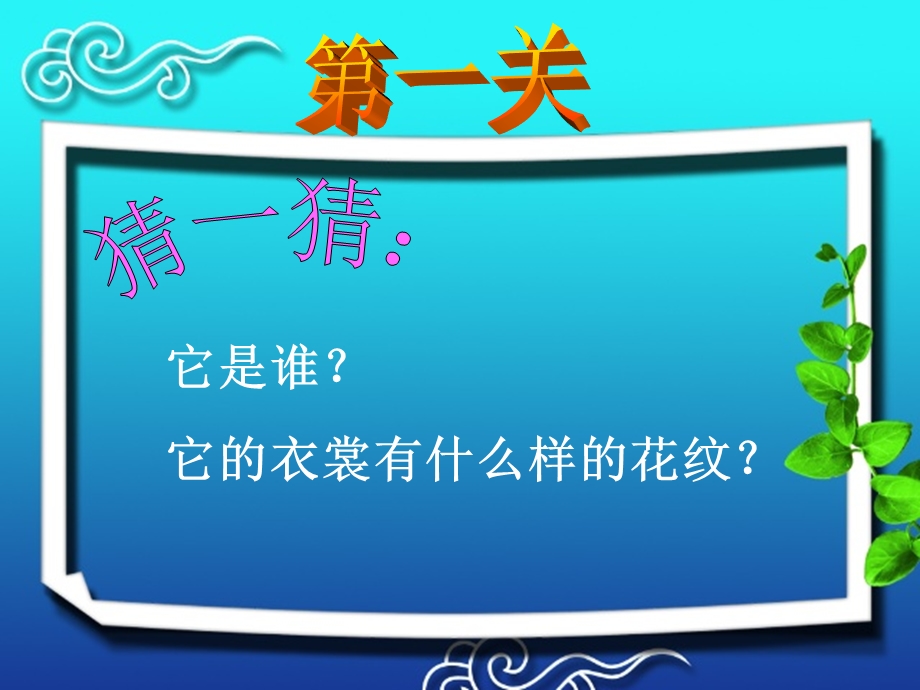 动物的花衣裳(1).ppt_第3页