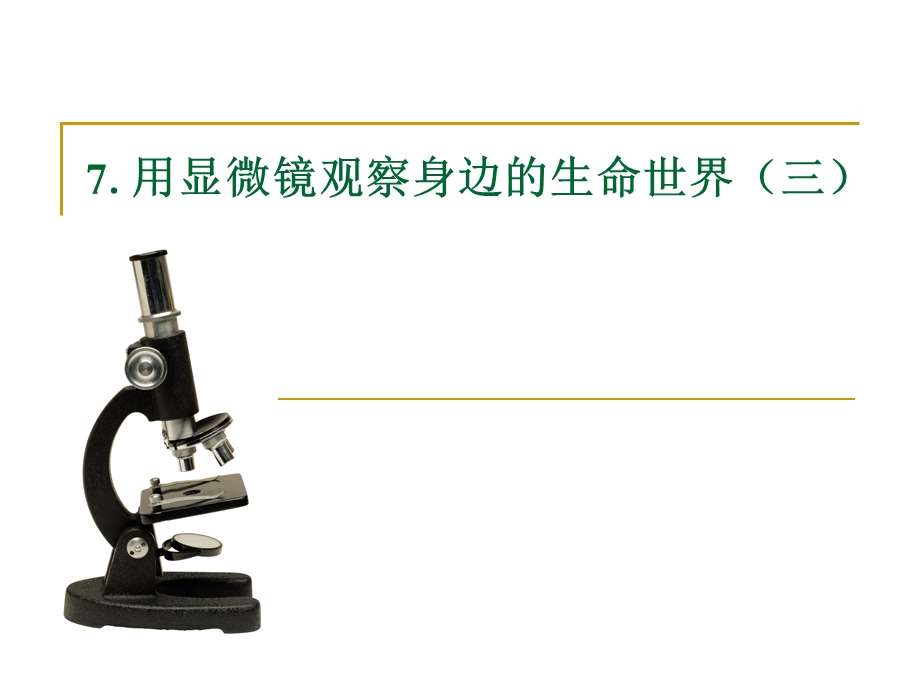 教科版小学科学六年级下册课件《用显微镜观察身边的生命世界（三）》 .ppt_第1页