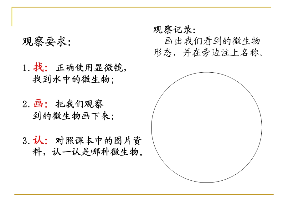 教科版小学科学六年级下册课件《用显微镜观察身边的生命世界（三）》 .ppt_第3页