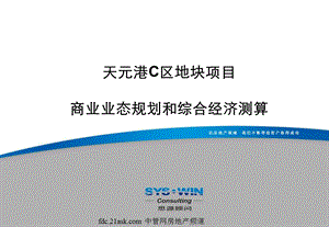 思源顾问--北京天元港地块项目商业业态规划和综合经济测算(1).ppt