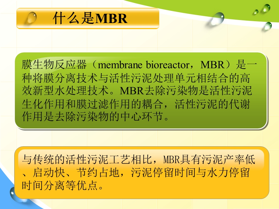 MBR在污水处理中的应用.ppt_第2页