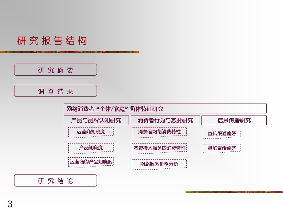 2010年宽带接入市场研究--消费者调查报告（PPT 30页） .ppt_第3页