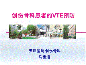 创伤骨科患者的VTE预防.ppt