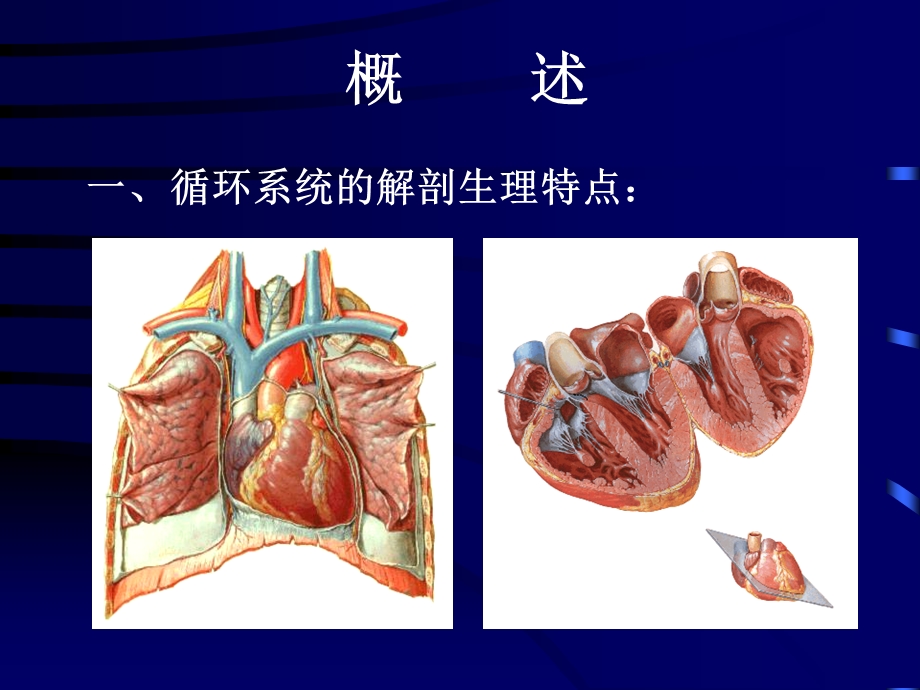 循环系统疾病概述.ppt_第2页