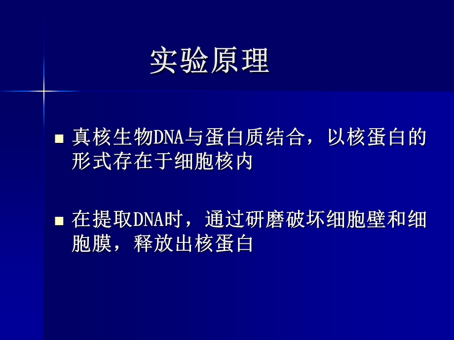 04 实验四 植物DNA的提取及纯度浓度鉴定.ppt_第2页