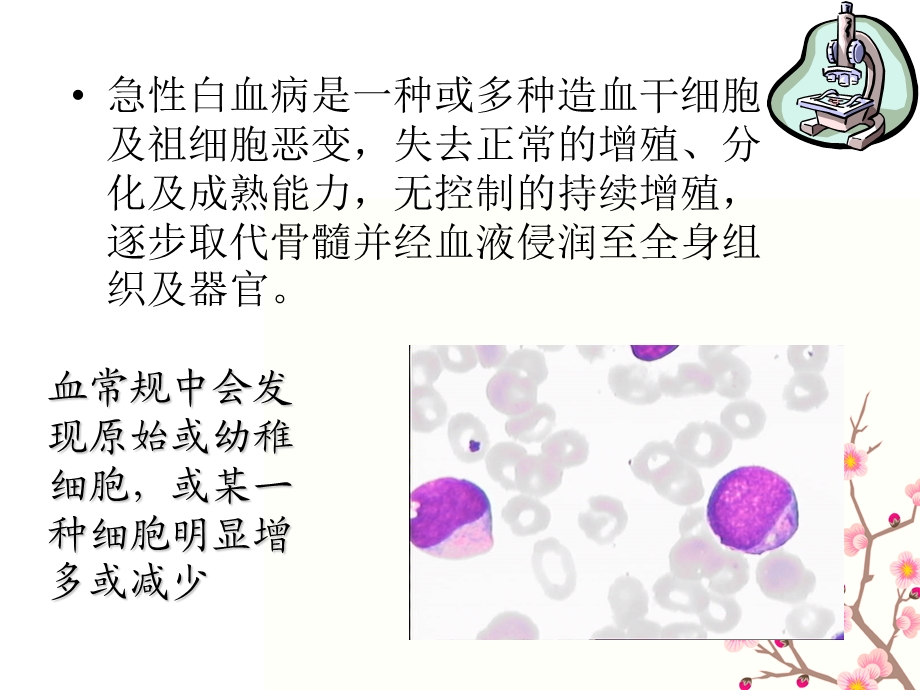 白血病的健康教育.ppt_第2页