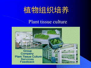 【精品PPT】植物组织培养.ppt