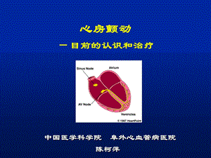 心房颤动的治疗-陈柯萍2010(1).ppt