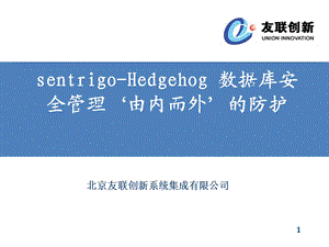 sentrigo数据库安全产品.ppt