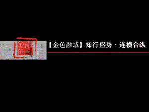 知行盛势·连横合纵Mike营销策划全案(1).ppt