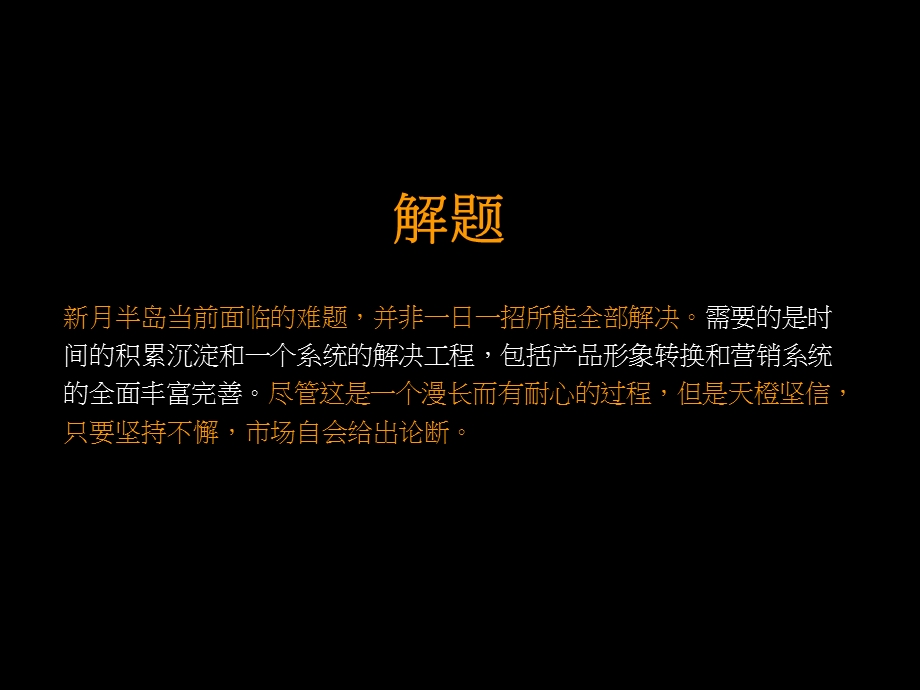 2011年新月半岛整合推广策略沟通方案（87页） .ppt_第3页