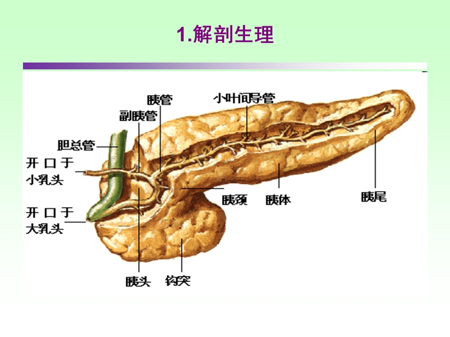 急性胰腺炎(2014.1).ppt_第3页