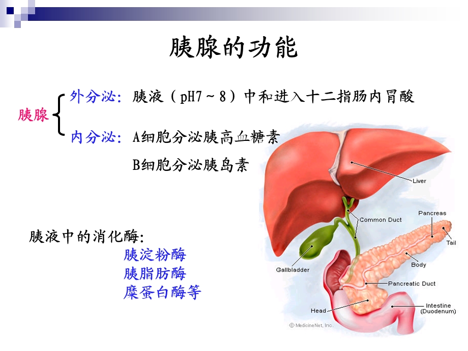 【医学课件大全】急性胰腺炎病人的护理.ppt_第3页