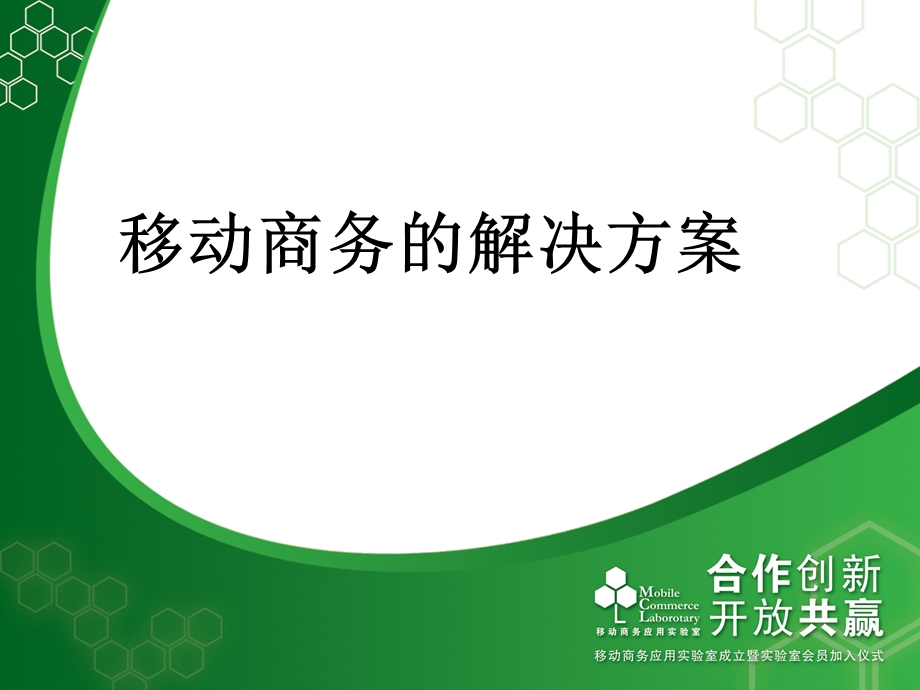 移动商务 解决方案-摩托罗拉(1).ppt_第1页